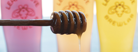 health benefits of Honeybrew ingredients 